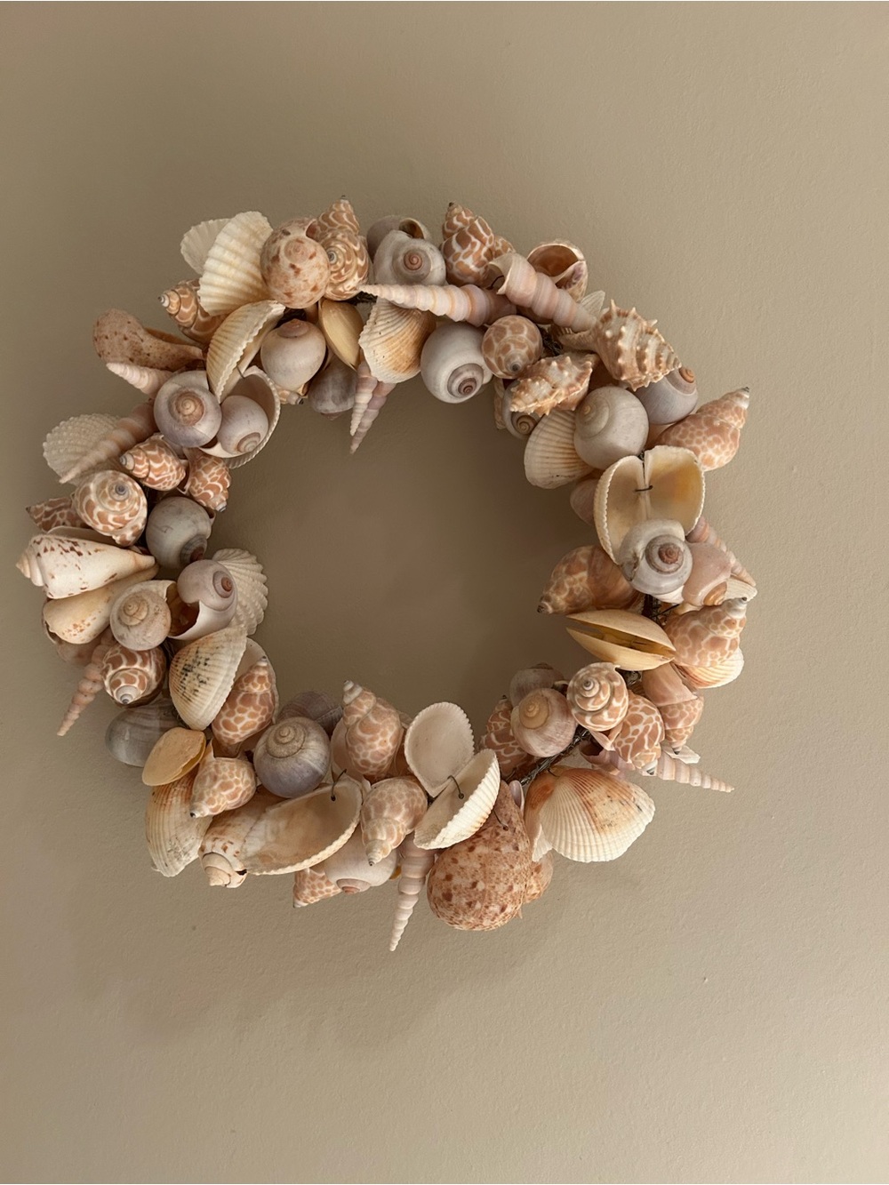 Seashell Wreath
